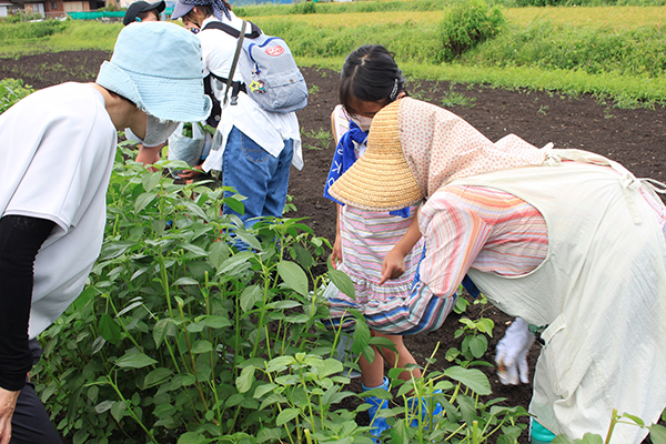 食と農・地産地消運動の取り組み