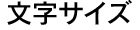 文字サイズ